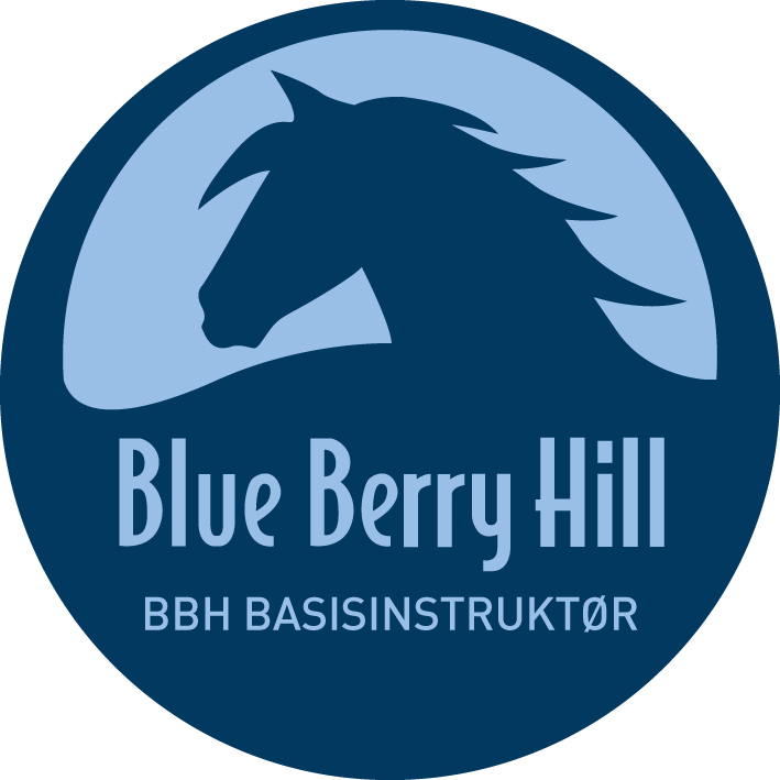 BBH Basisinstruktør logo