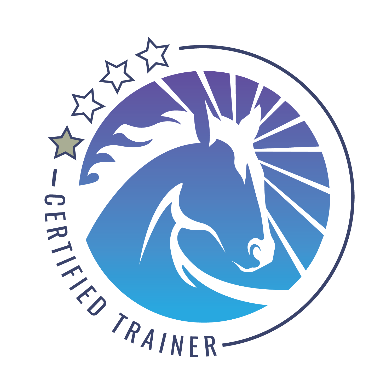 Train Your Seat logo